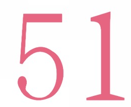 51凤情图标